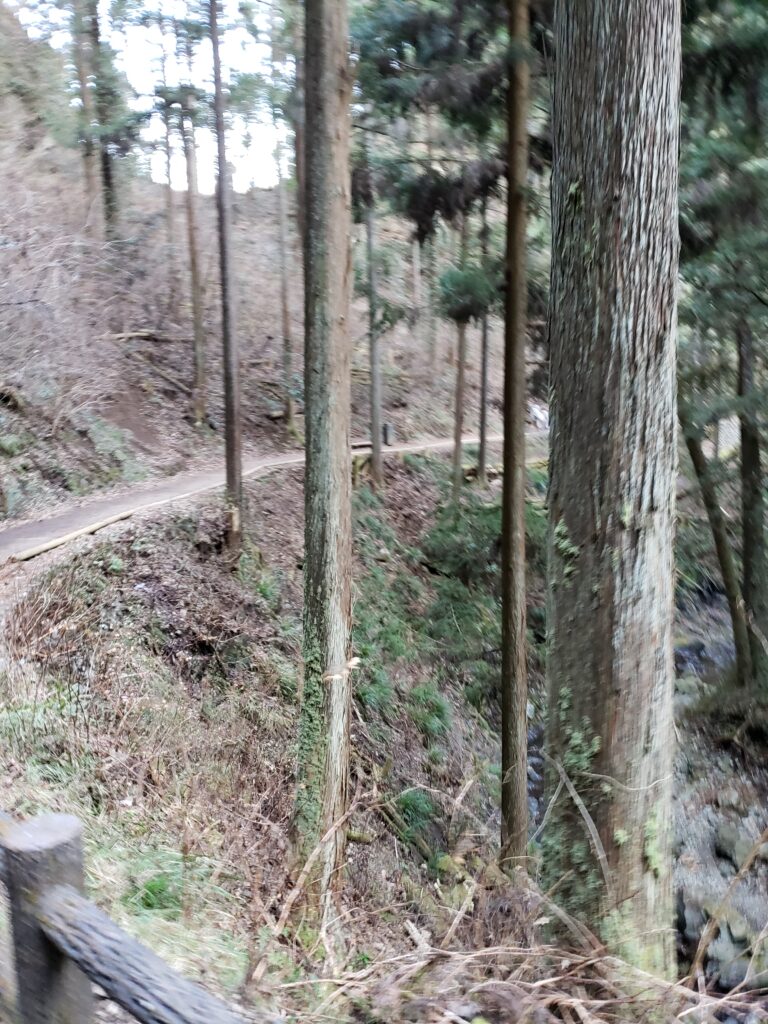 払沢の滝への道の様子