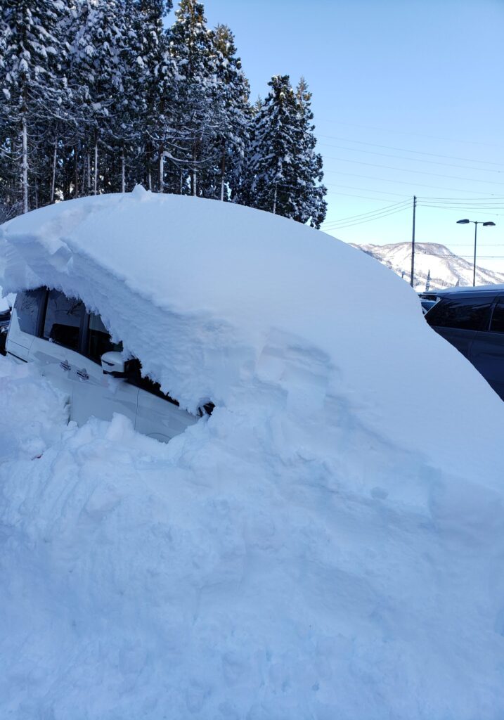 雪が積もった車の様子