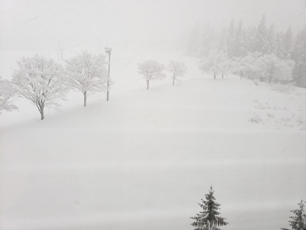 ナスパニューオータニの客室から見えた雪景色のゲレンデ